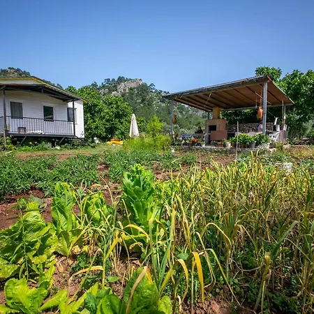 Nature Bungalovs Orhaniye Lägenhet *